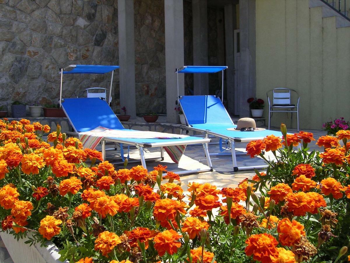 Apartment Palma Ντουμπρόβνικ Εξωτερικό φωτογραφία